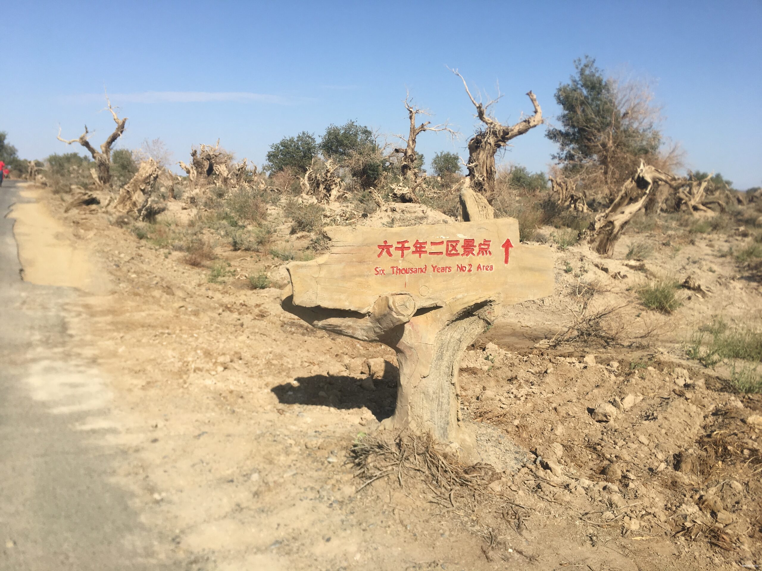 先穿胡杨林  再转幻彩湖——新疆伊吾胡杨林与幻彩湖两日两马赛记