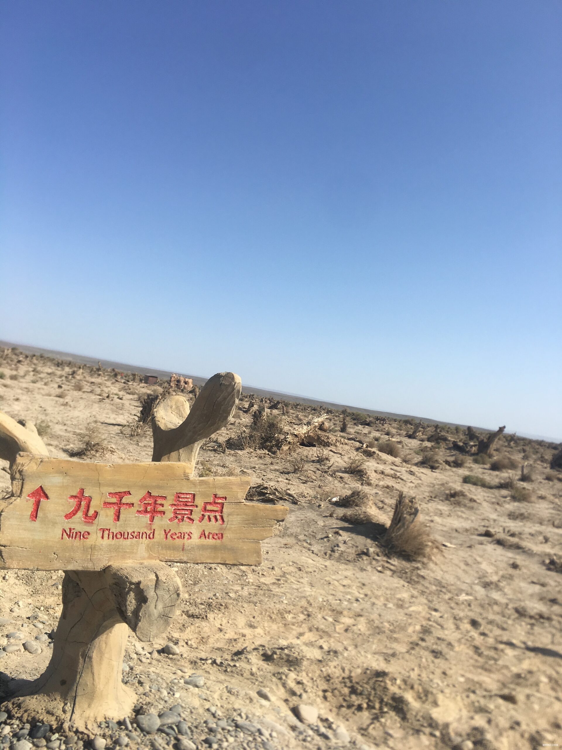 先穿胡杨林  再转幻彩湖——新疆伊吾胡杨林与幻彩湖两日两马赛记