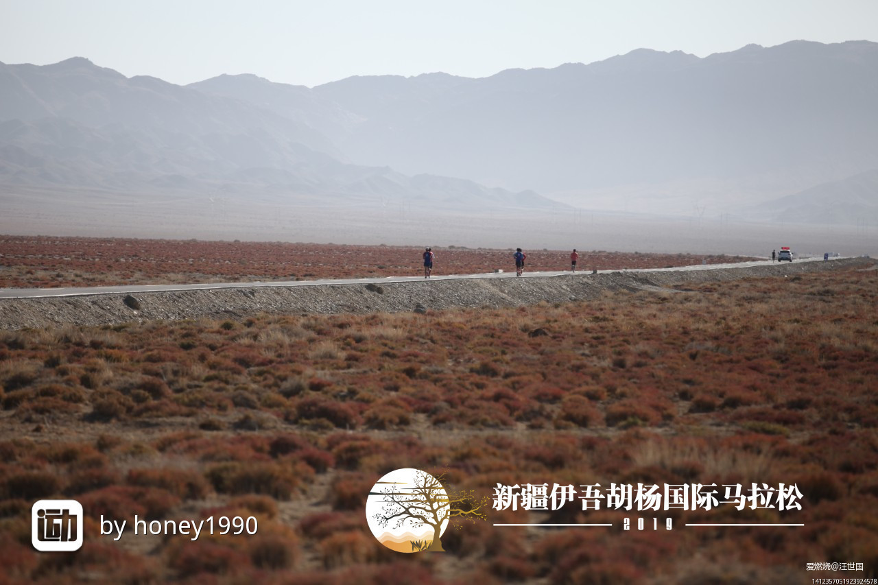 先穿胡杨林  再转幻彩湖——新疆伊吾胡杨林与幻彩湖两日两马赛记