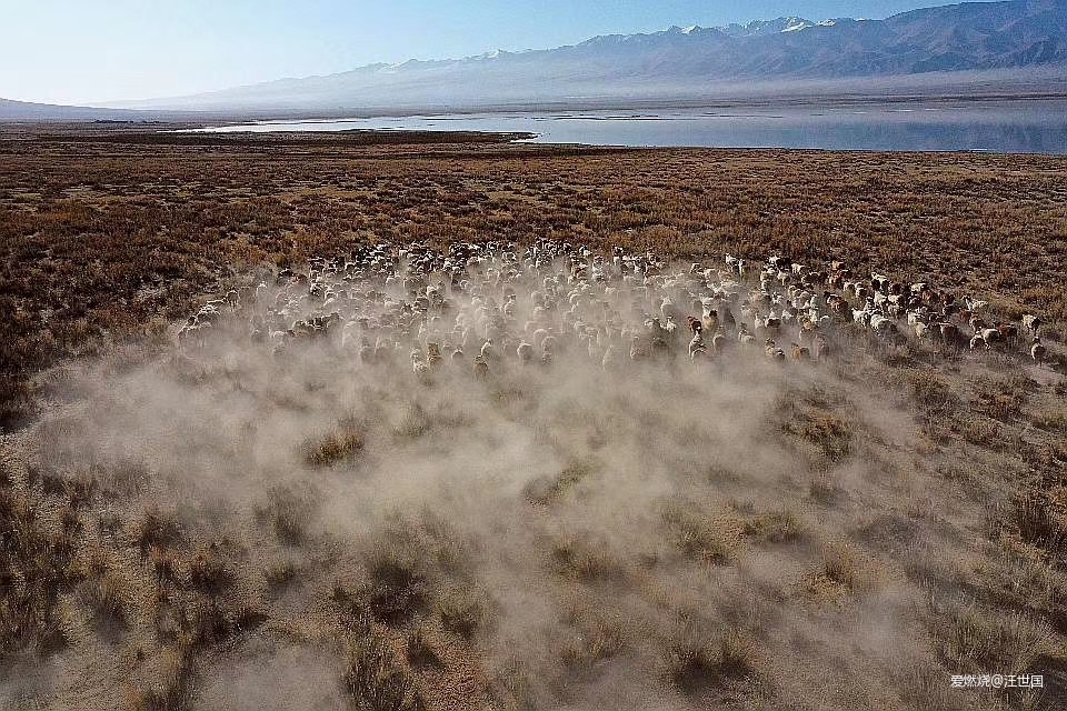 先穿胡杨林  再转幻彩湖——新疆伊吾胡杨林与幻彩湖两日两马赛记