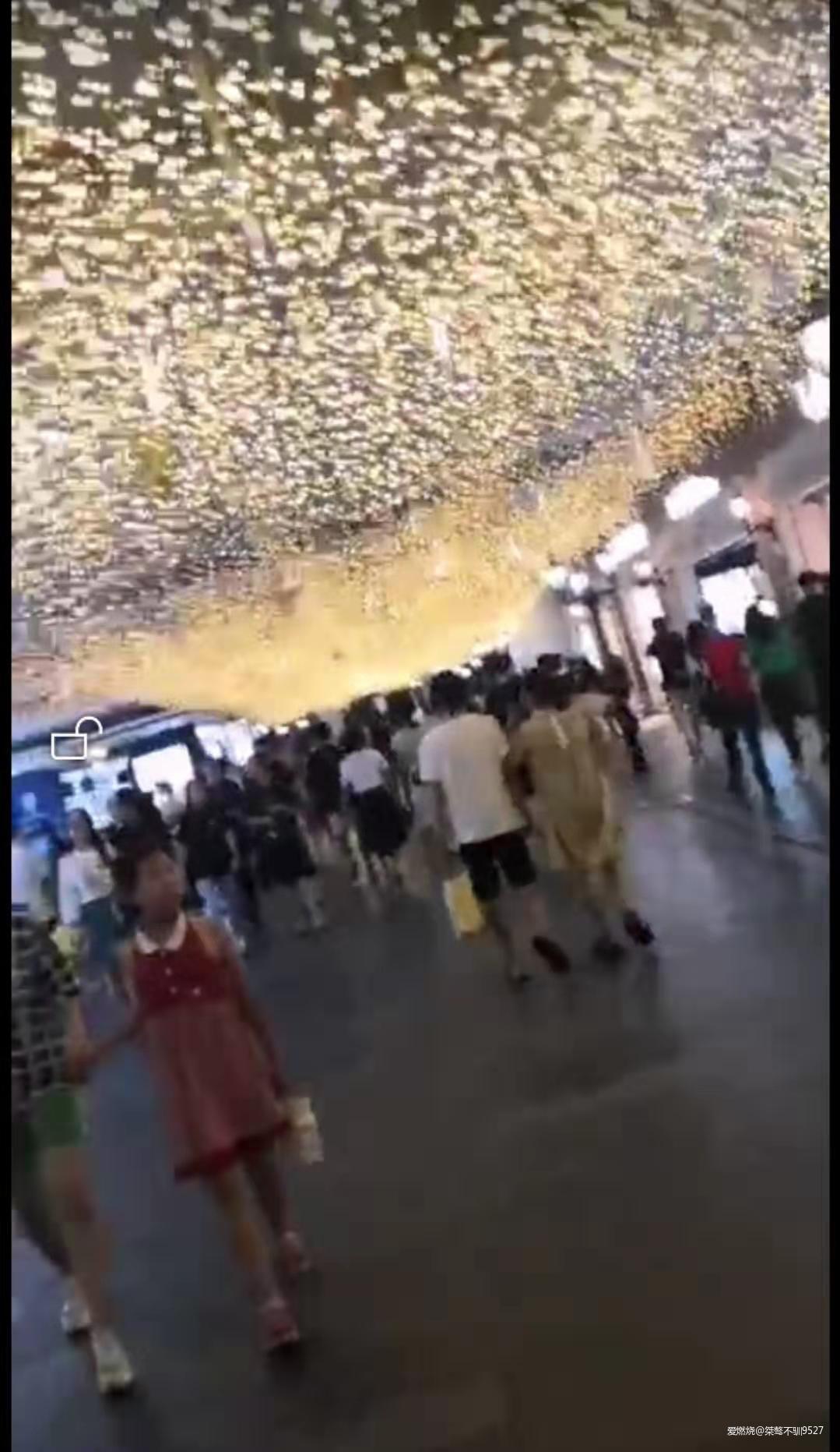 踏足秘境越野神农架