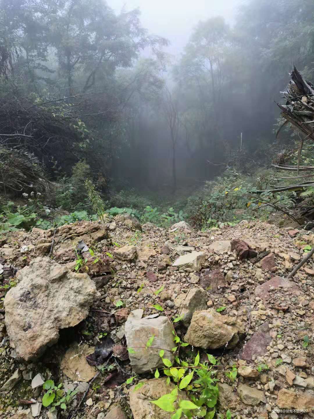 踏足秘境越野神农架