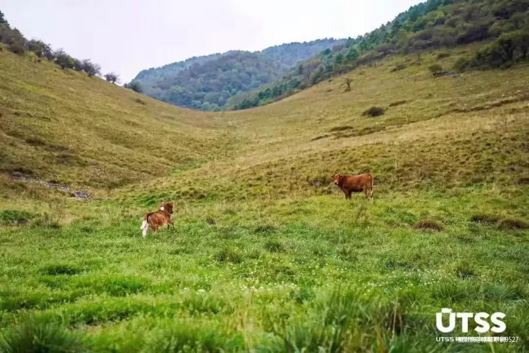 踏足秘境越野神农架