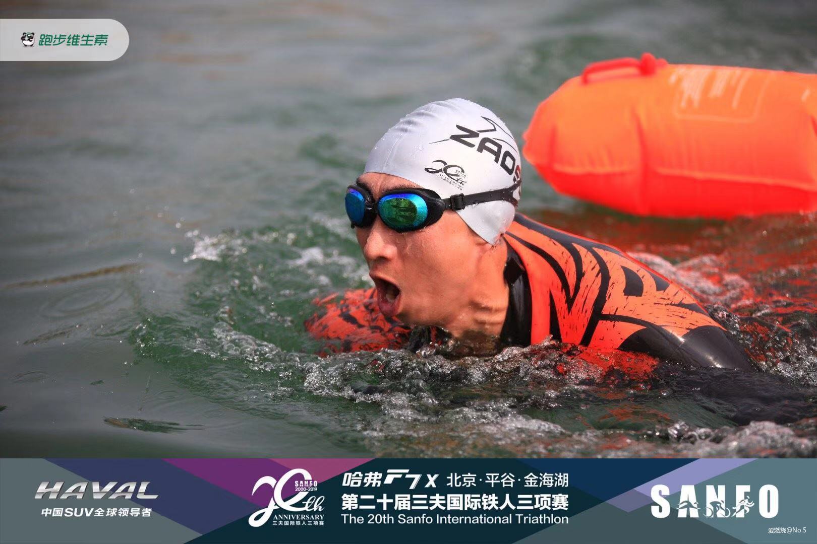 游泳胶衣初体验：ZAOSU自由泳基础版+次顶级版