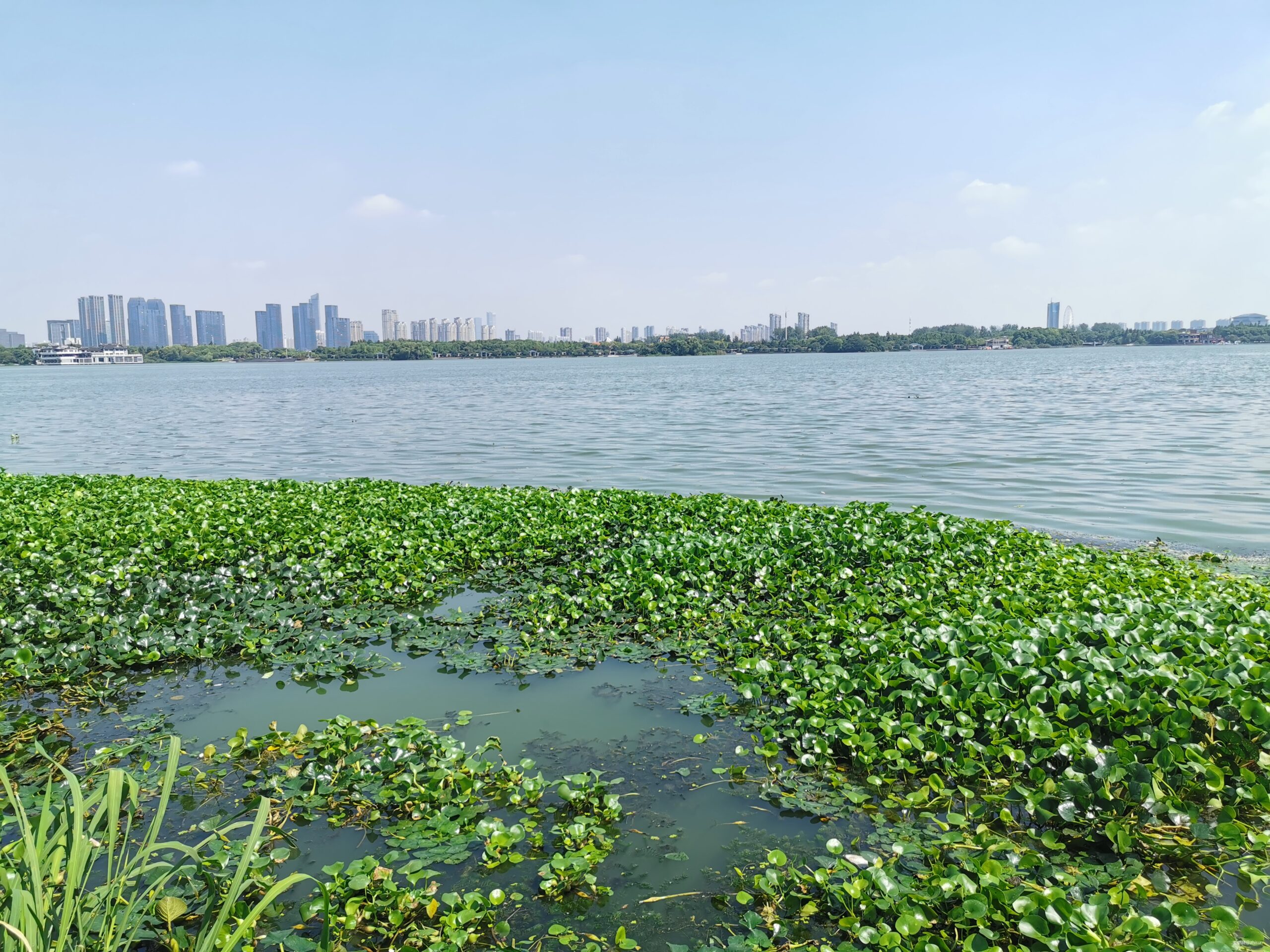 五十公里鼋秋赛，写在退赛之后
