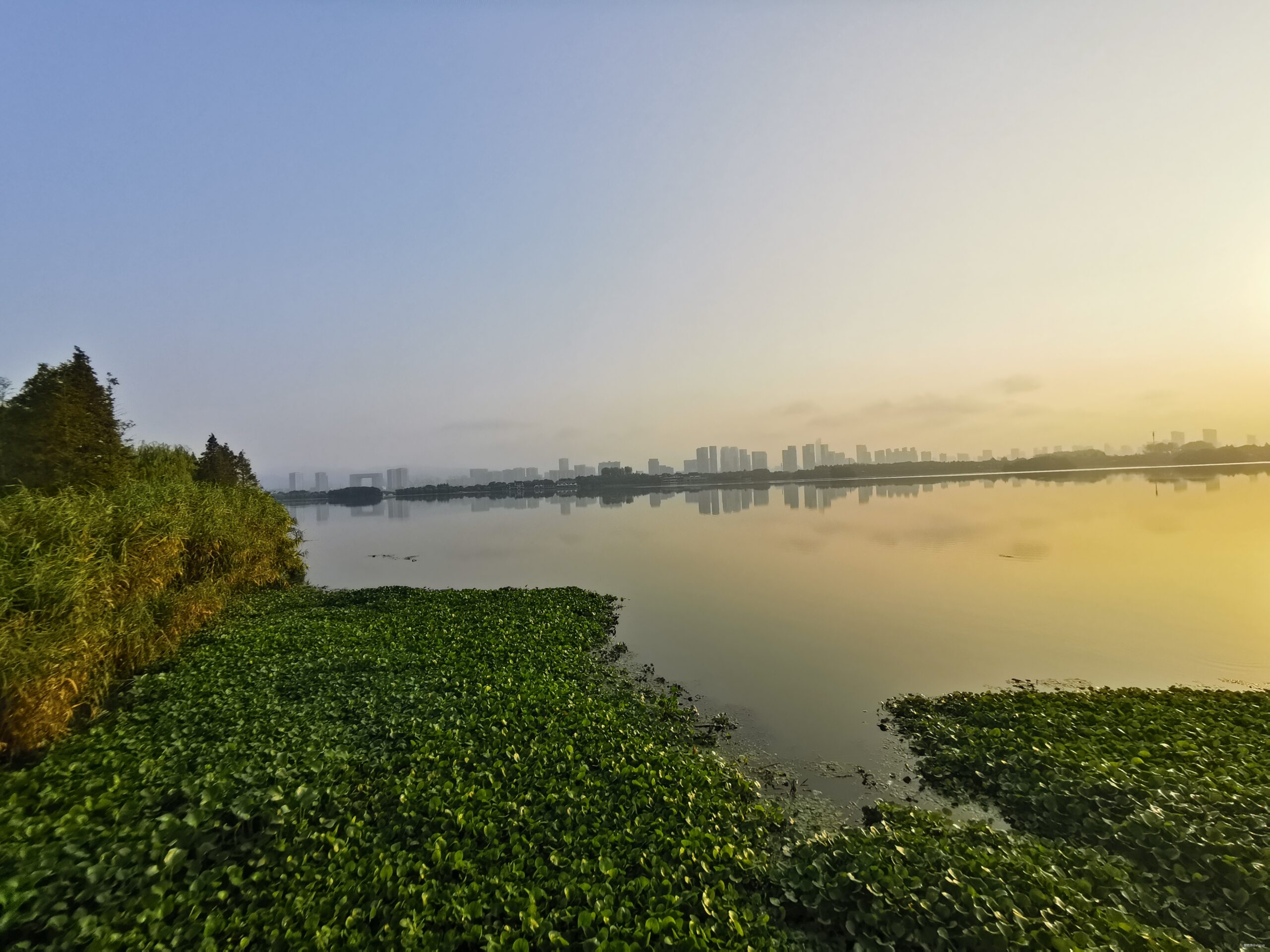 五十公里鼋秋赛，写在退赛之后