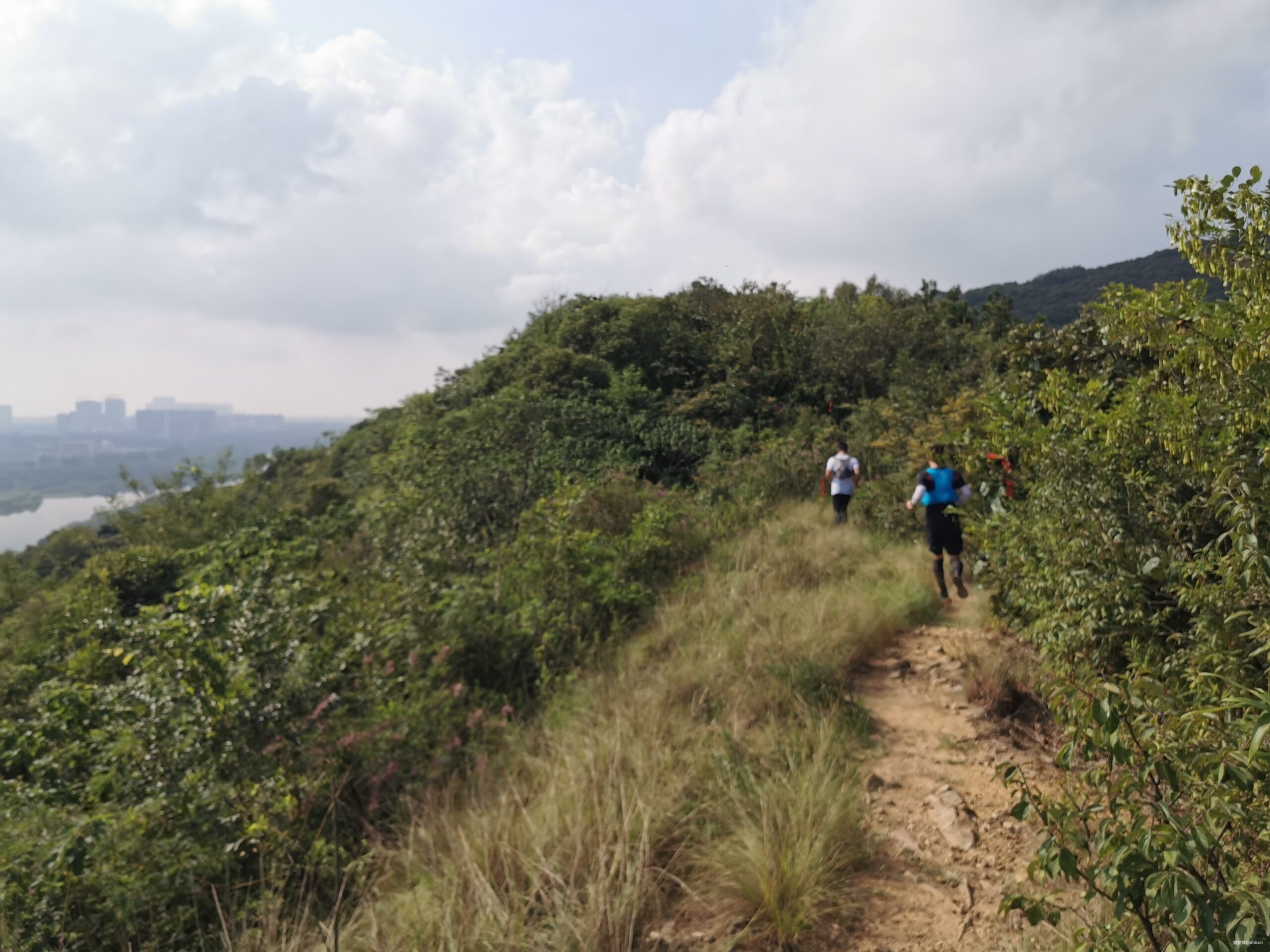 五十公里鼋秋赛，写在退赛之后
