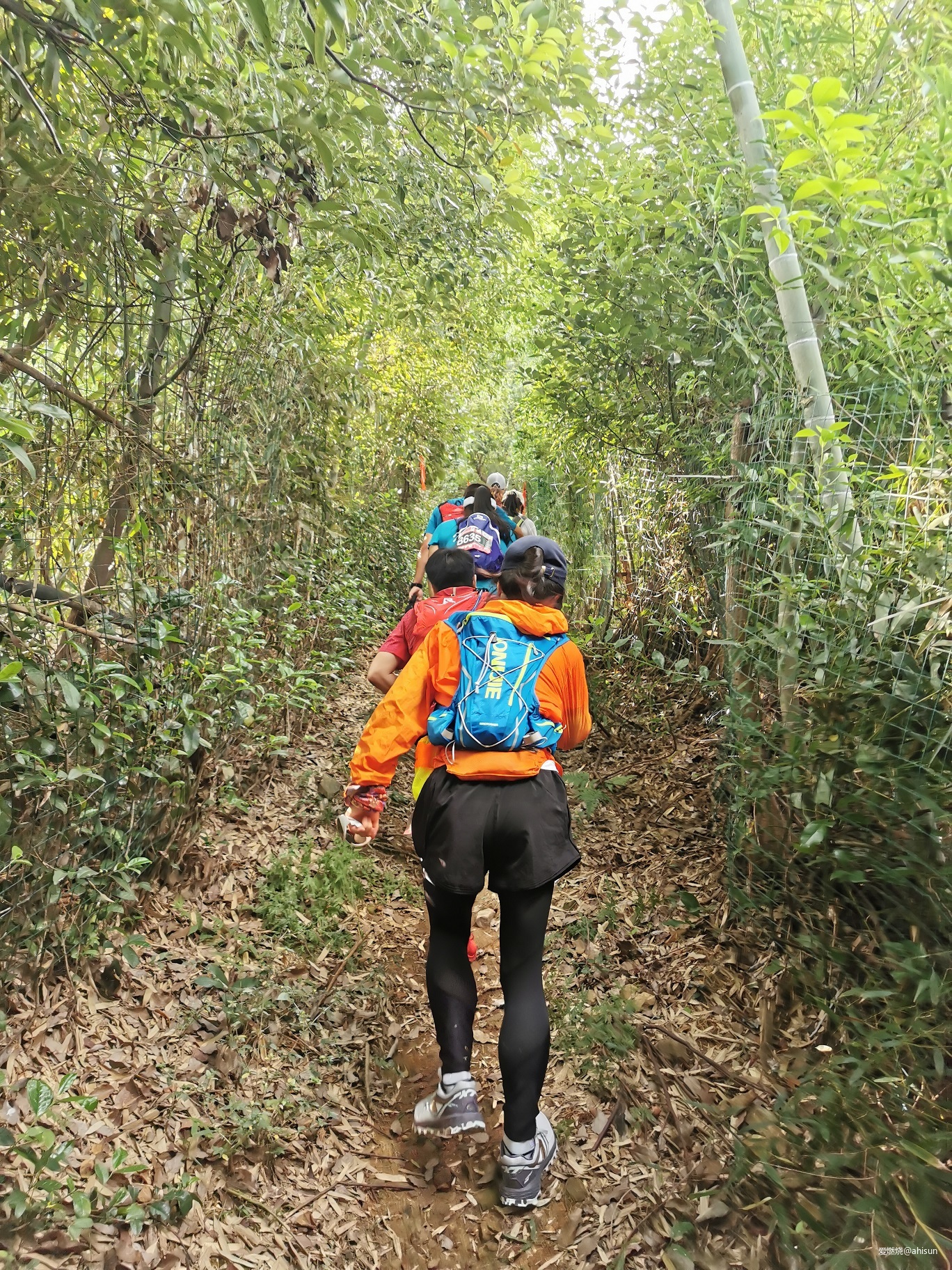 五十公里鼋秋赛，写在退赛之后