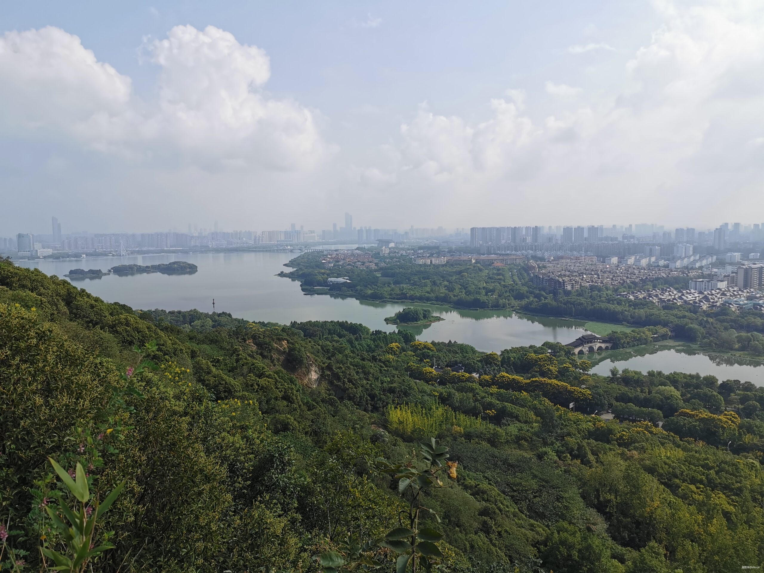 五十公里鼋秋赛，写在退赛之后