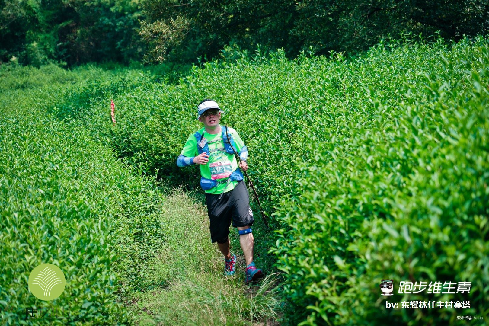 五十公里鼋秋赛，写在退赛之后
