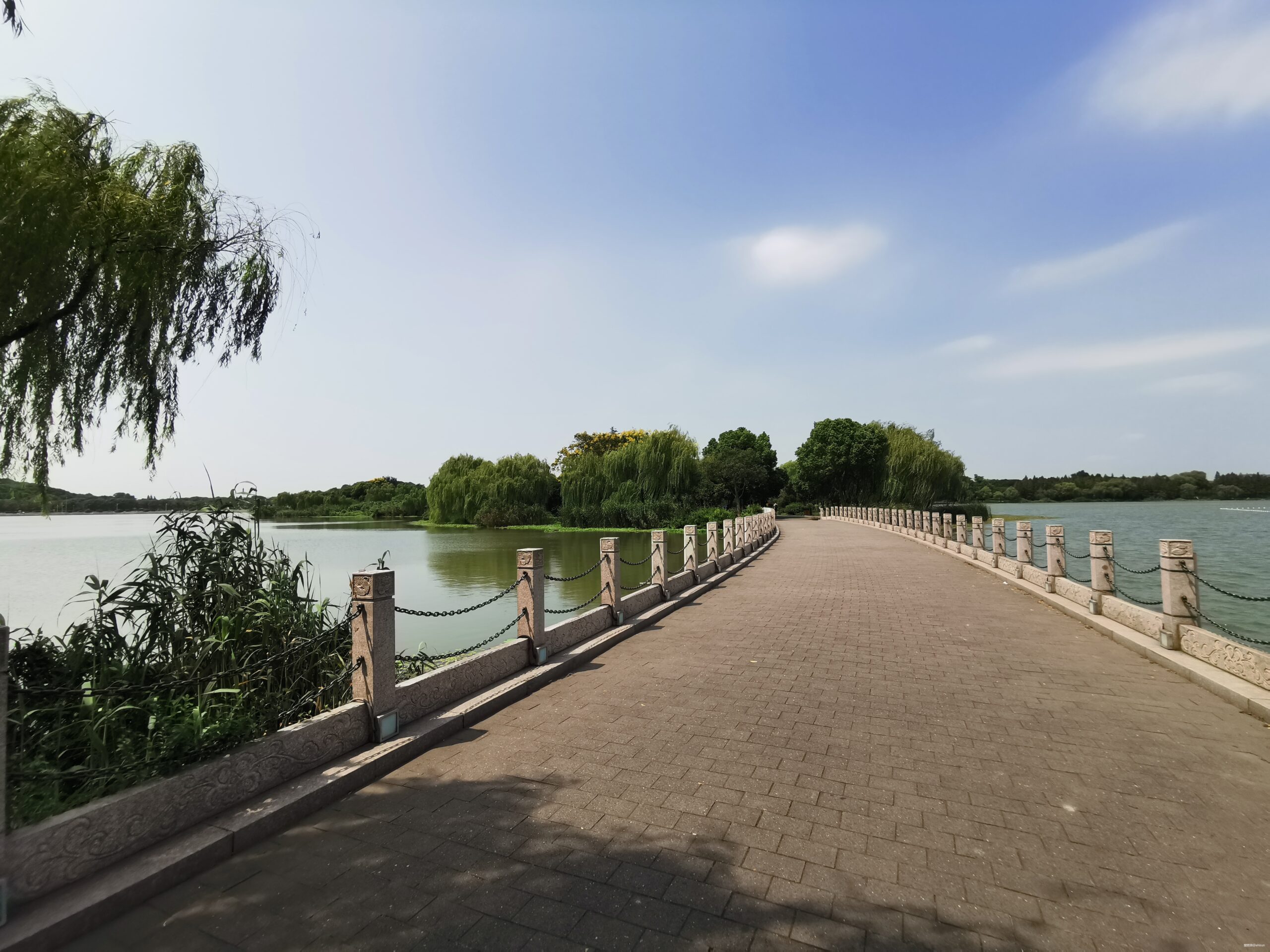 五十公里鼋秋赛，写在退赛之后