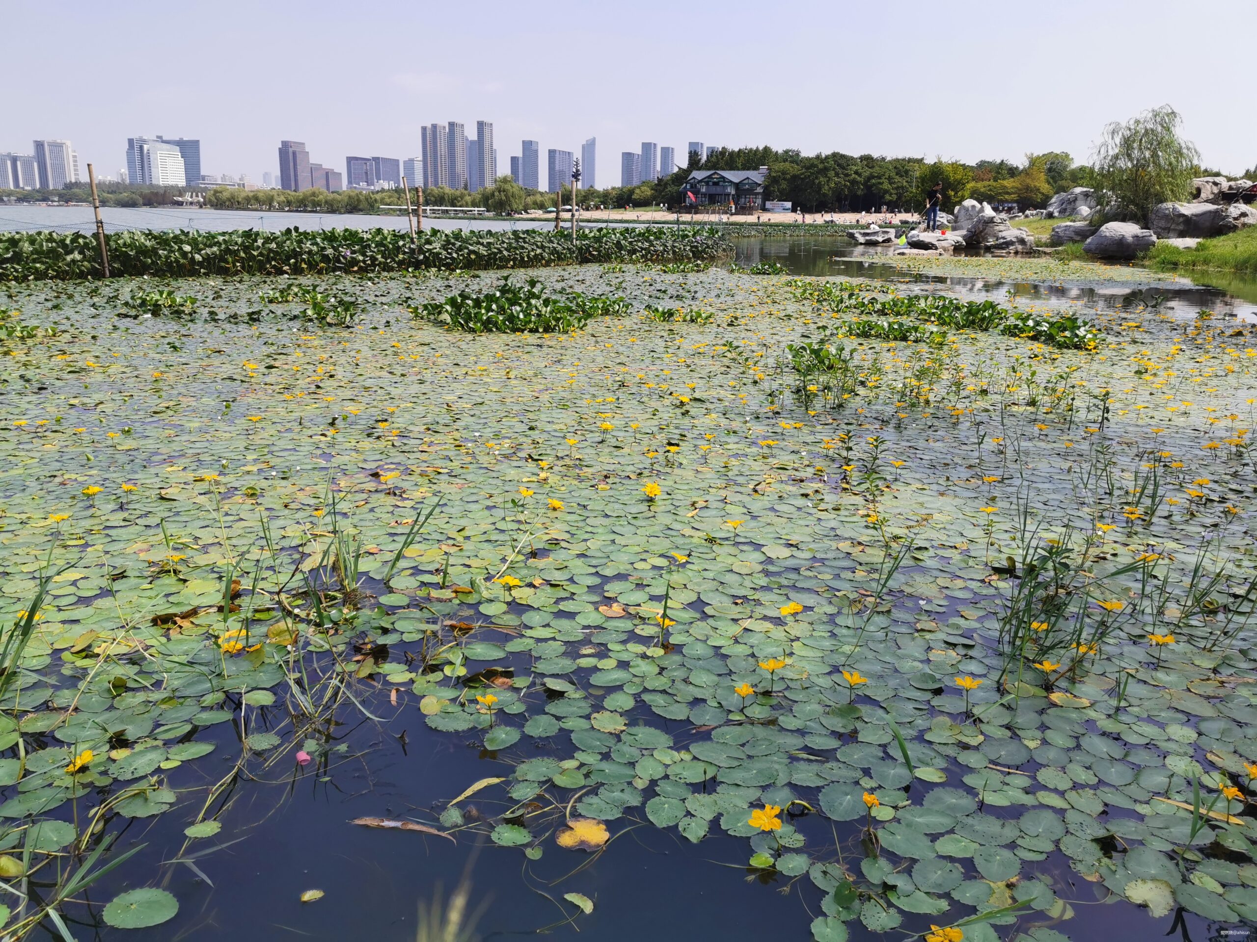 五十公里鼋秋赛，写在退赛之后
