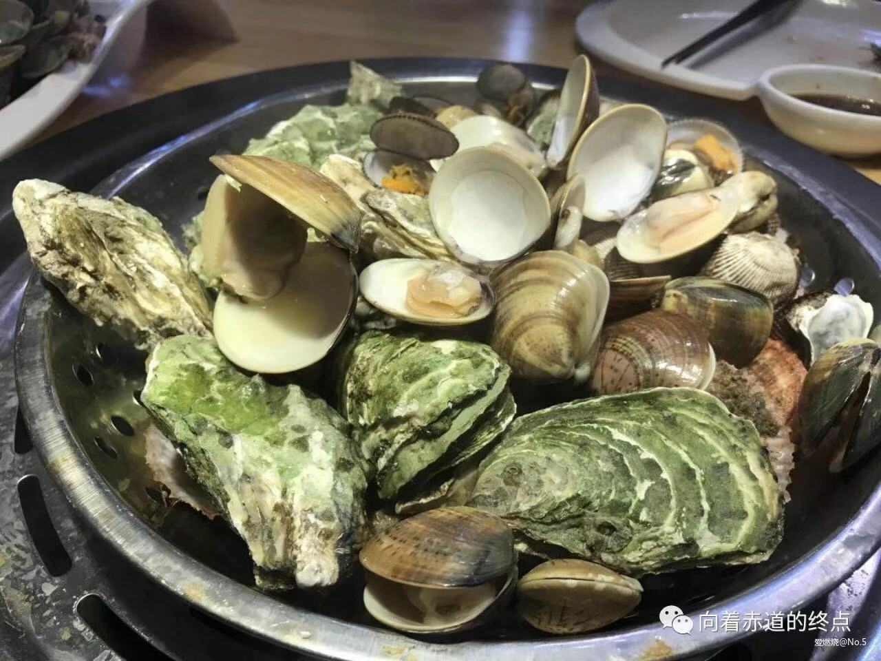 记2018海阳马拉松之半程