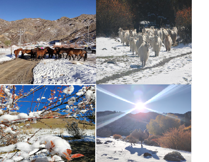水墨天山  越野感悟