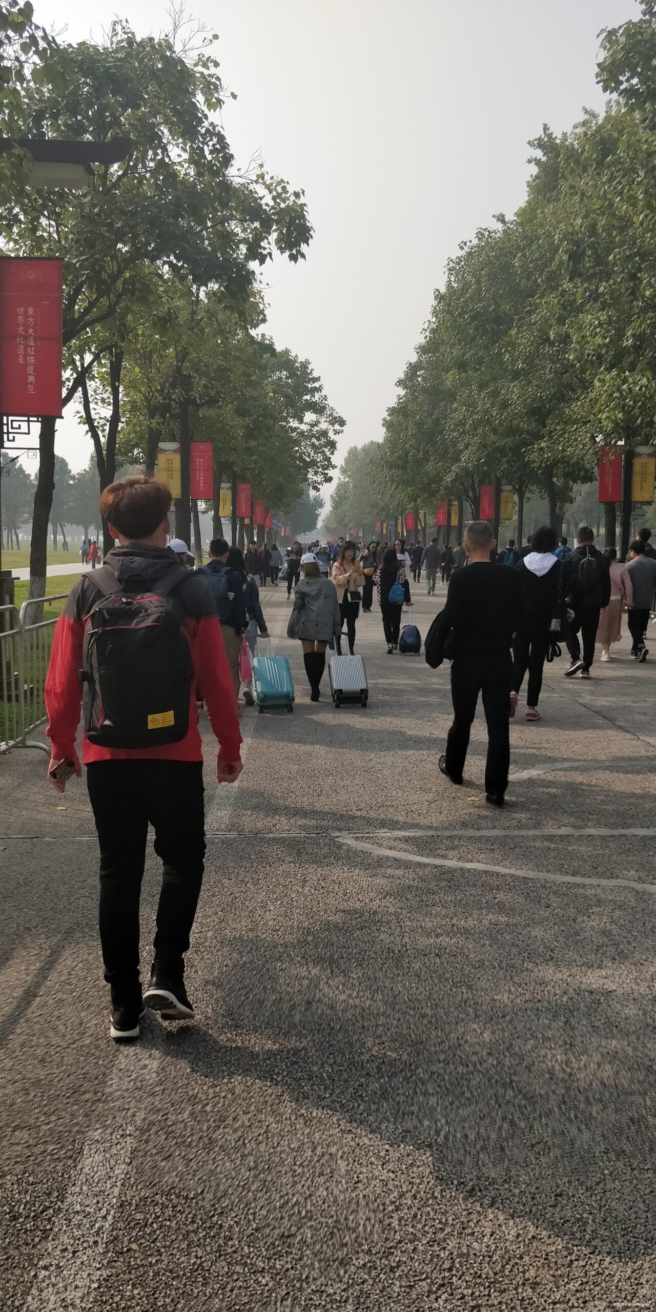 雨中看尽长安花——2019西安马拉松赛记