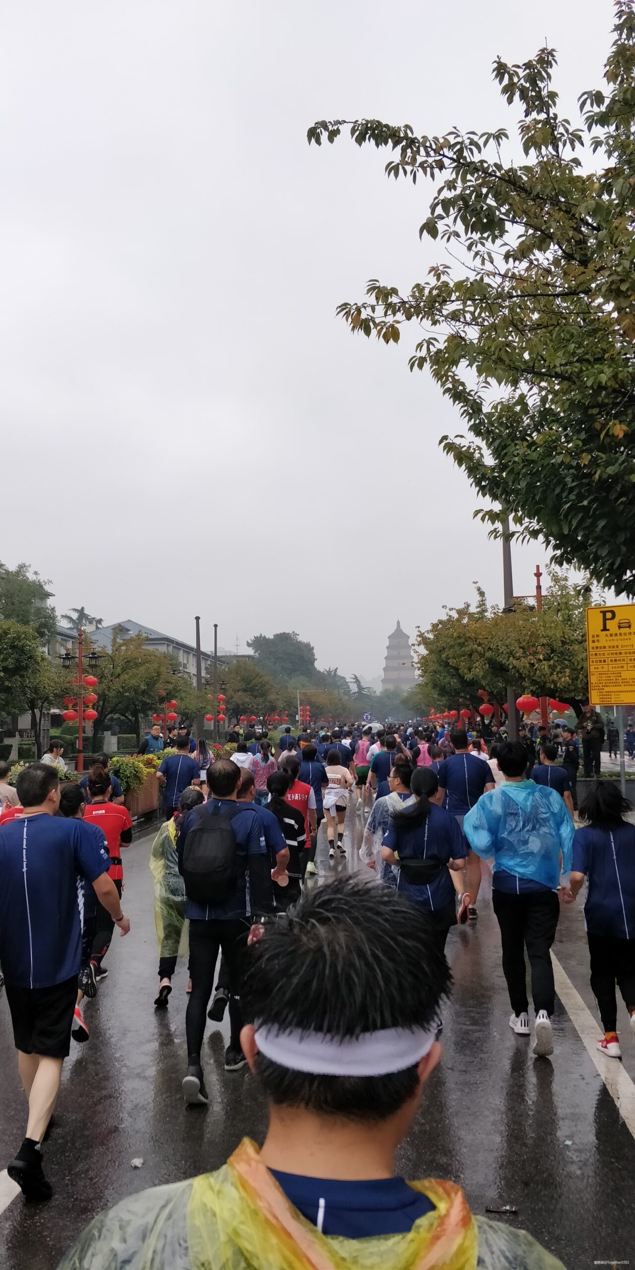 雨中看尽长安花——2019西安马拉松赛记