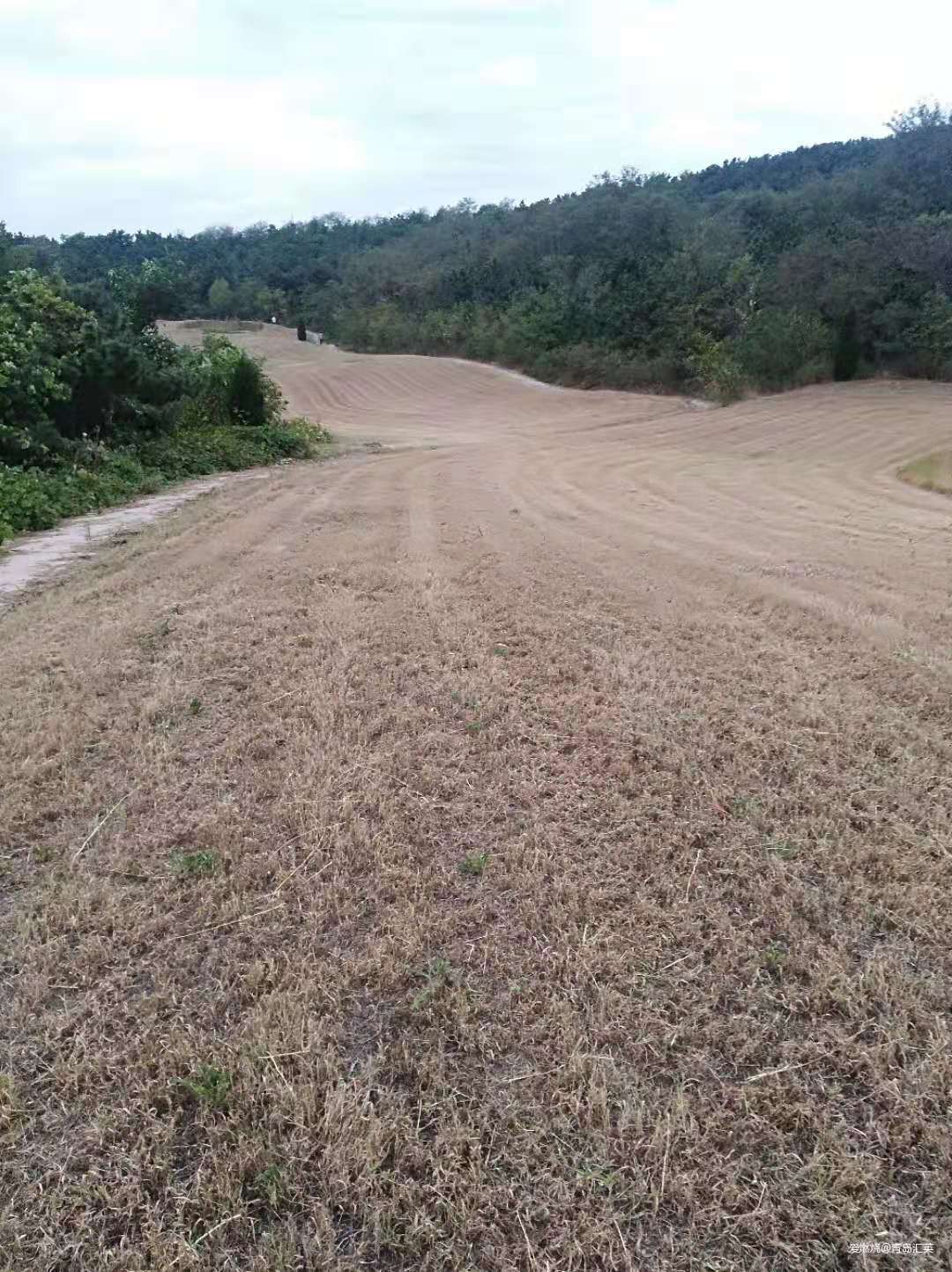 选择目标，针对训练，严肃比赛，完赛喜悦（崂山100,25公里组参赛感受）