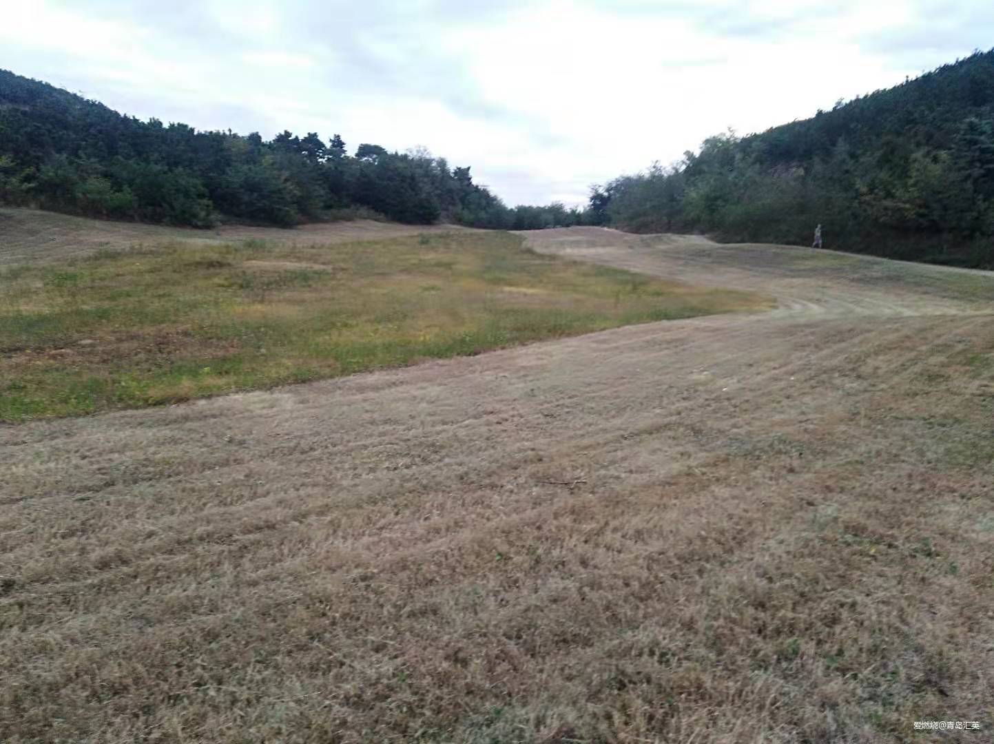 选择目标，针对训练，严肃比赛，完赛喜悦（崂山100,25公里组参赛感受）