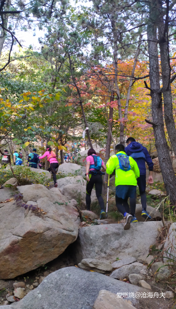 逐鹿山海间-2019青岛崂山100-国际山地越野挑战赛之50公里安全完赛