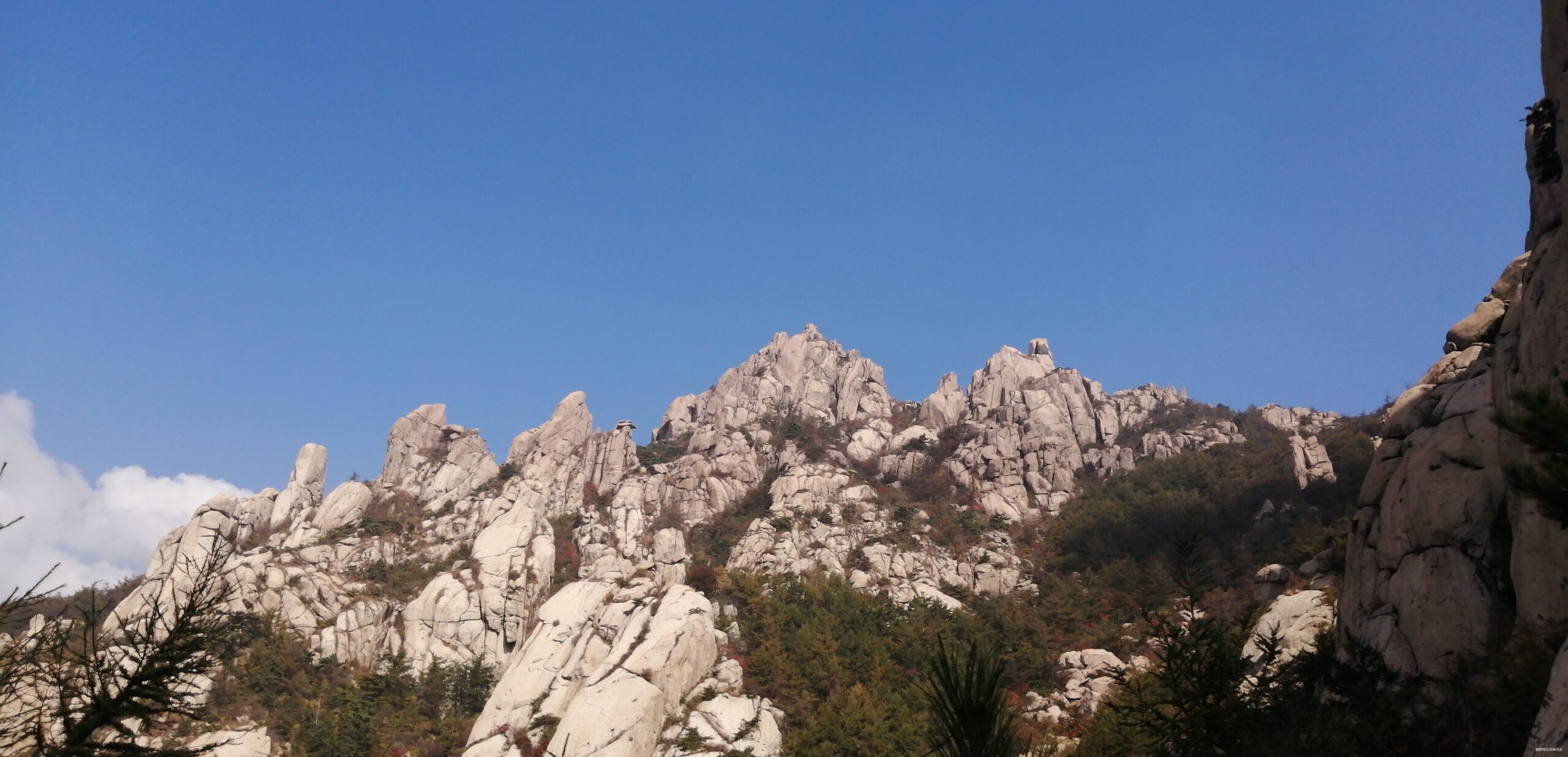 逐鹿山海间-2019青岛崂山100-国际山地越野挑战赛之50公里安全完赛