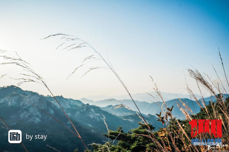 逐鹿山海间-2019青岛崂山100-国际山地越野挑战赛之50公里安全完赛