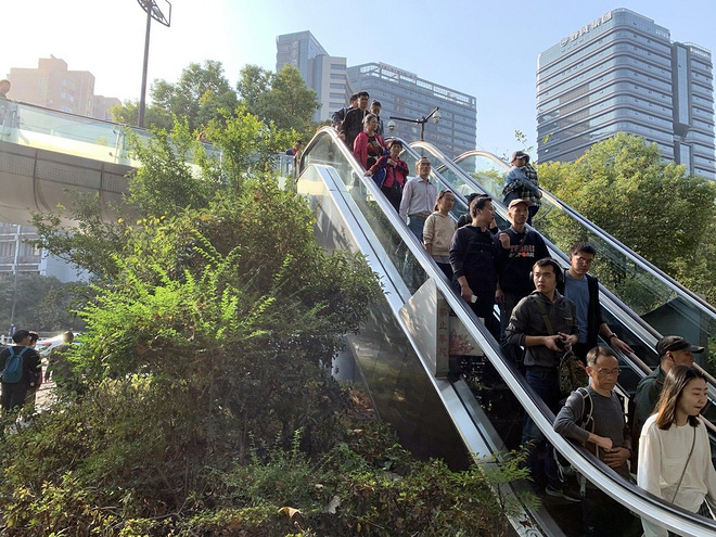 跑拍：2019杭州马拉松