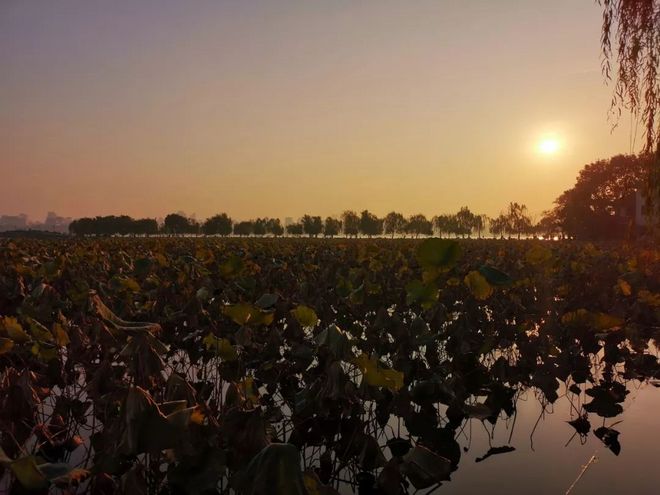 我去西湖跑半马，偶遇跑者施一公