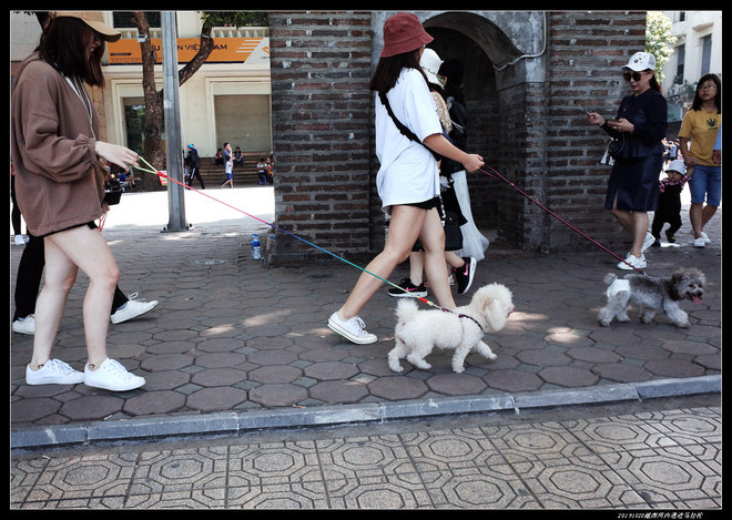 20191020越南河内遗迹马拉松