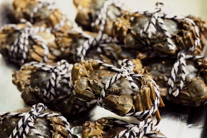 中国•长兴2019龙之梦•太湖图影国际马拉松开跑 万名跑者享受狂欢