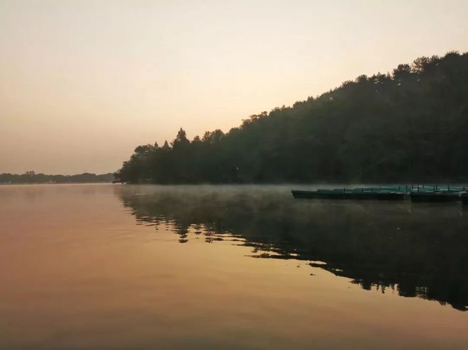我去西湖跑半马，偶遇跑者施一公