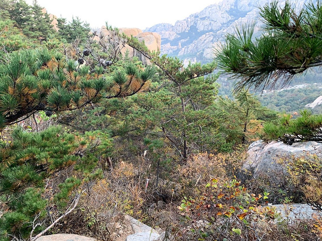 逐鹿山海间--崂山100山地越野赛