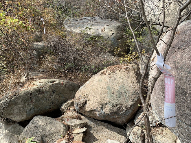 逐鹿山海间--崂山100山地越野赛