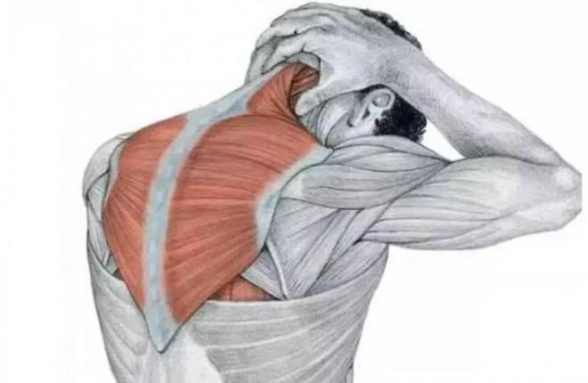 明明是用双腿跑步，为什么肩颈会疼呢？