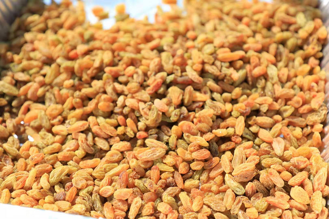 双赛会记录诞生！2019南昌国际马拉松英雄际会，见证时代！