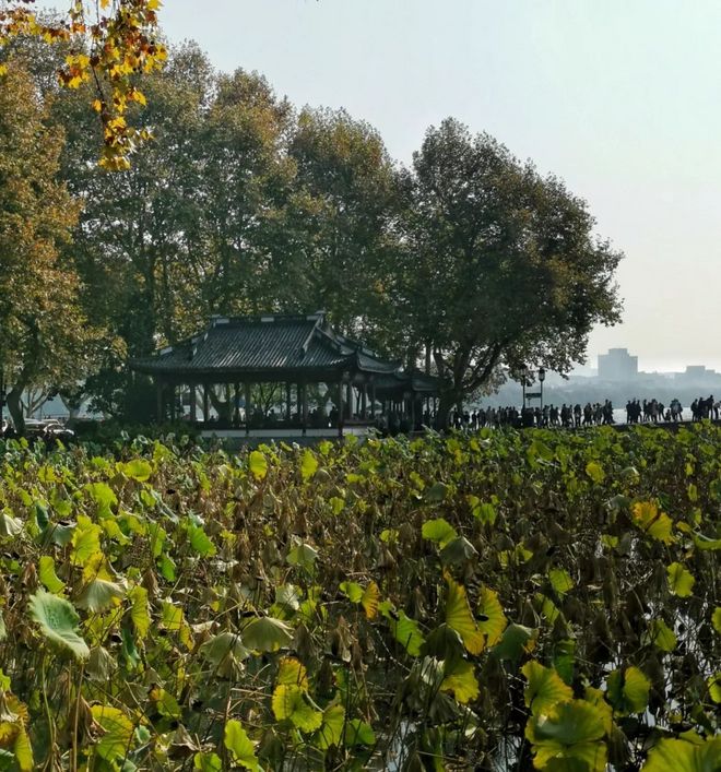 我去西湖跑半马，偶遇跑者施一公