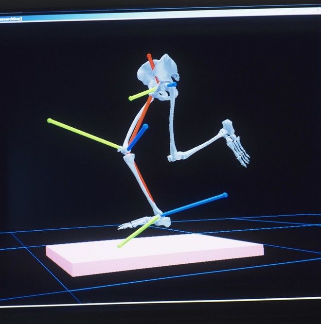 “我跑不快是因为脚踝力量不够吗？”