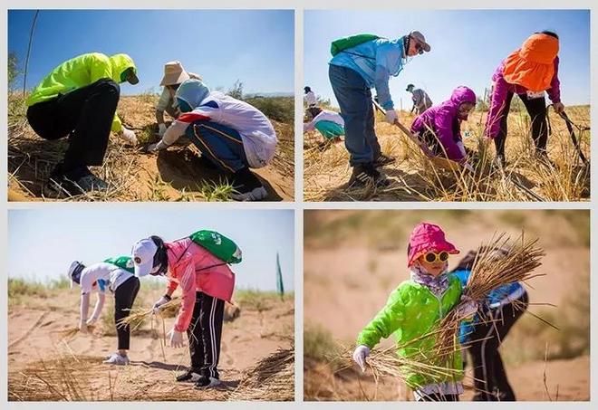 重磅！厦门马拉松赛斩获全球绿色环保奖！亚洲首次！