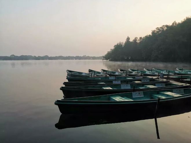 我去西湖跑半马，偶遇跑者施一公