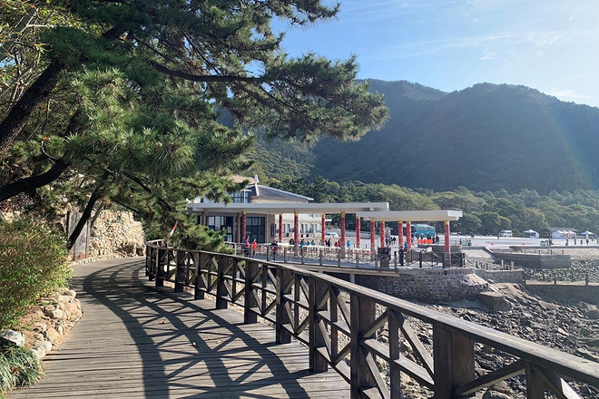逐鹿山海间--崂山100山地越野赛
