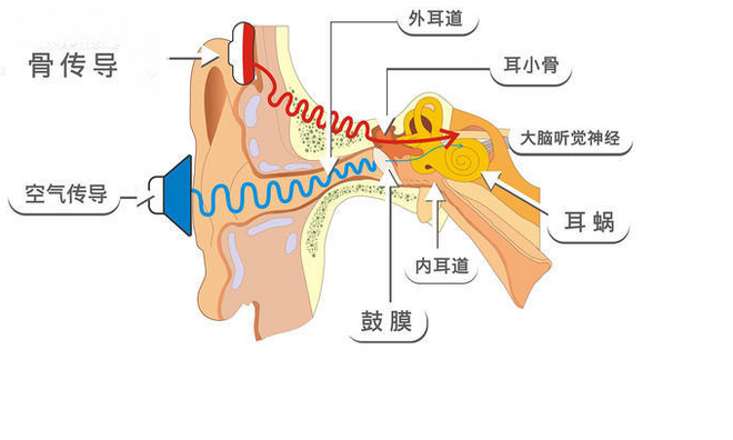 骨传导新势力，冠以Runner之名，南卡运动蓝牙耳机