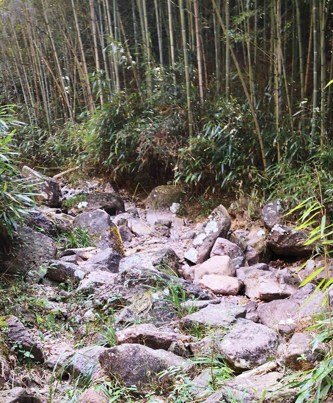 越野百里，开卷江山——2019MaxiRace江山100赛记（若凡）