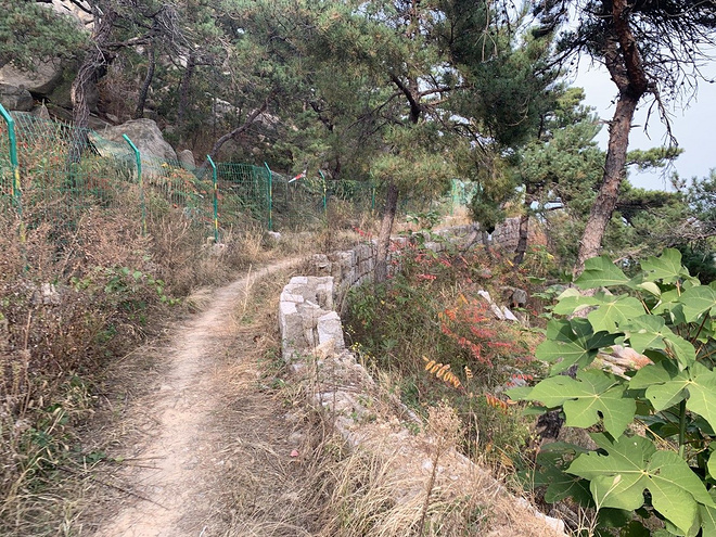 逐鹿山海间--崂山100山地越野赛