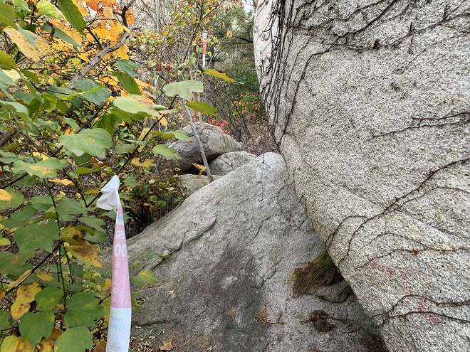 逐鹿山海间--崂山100山地越野赛