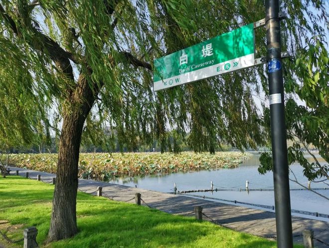 我去西湖跑半马，偶遇跑者施一公