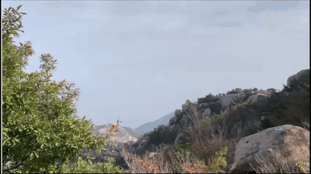 逐鹿山海间--崂山100山地越野赛