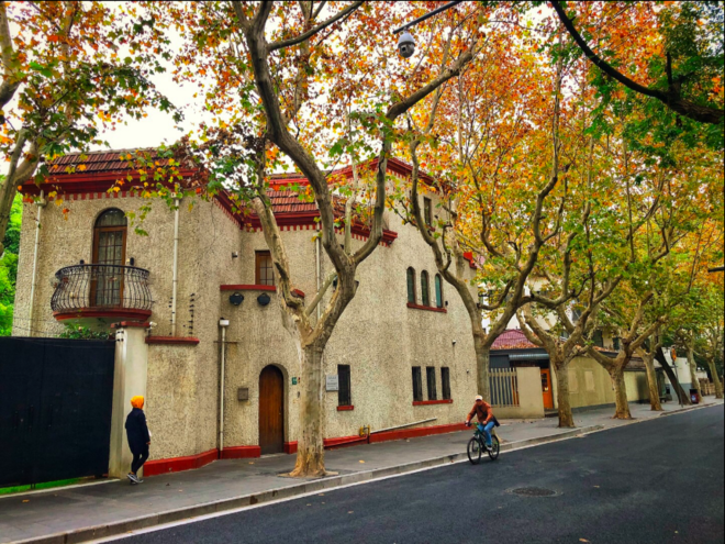 上马，止不住的热爱-2019上海马拉松赛记