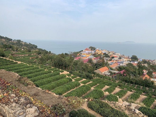 逐鹿山海间--崂山100山地越野赛
