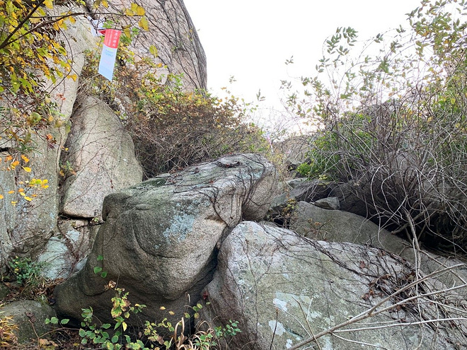 逐鹿山海间--崂山100山地越野赛