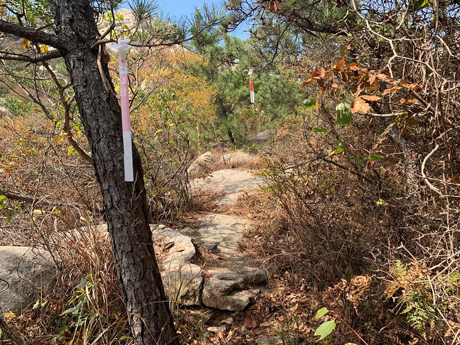 逐鹿山海间--崂山100山地越野赛