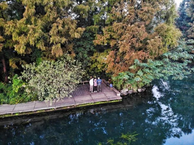 我去西湖跑半马，偶遇跑者施一公